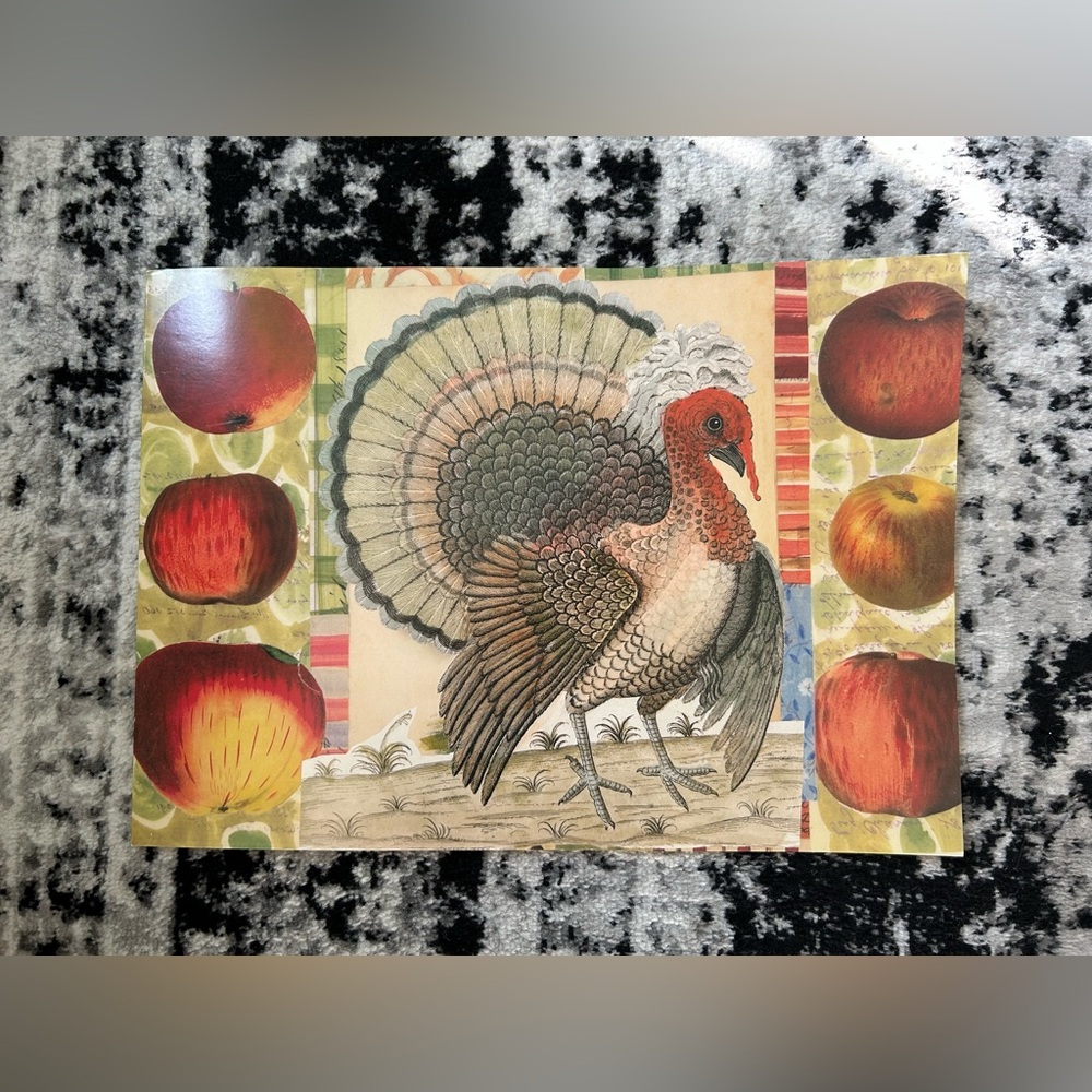 John Derian for Target Coloring Turkey Placemats *NWOT**